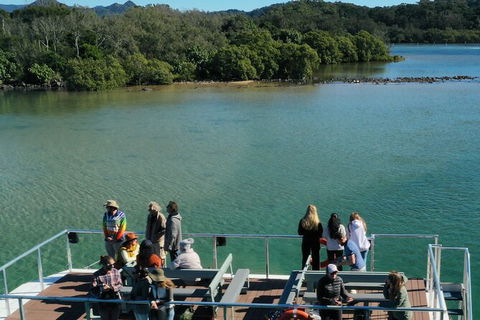 Brunswick Heads Rainforest Eco-Cruise - Accommodation ACT 8