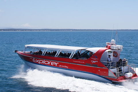 Whale Watching Jervis Bay - Accommodation ACT 1