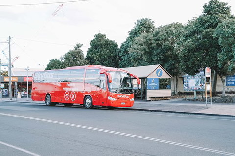 SkyBus Byron Bay Express - Accommodation ACT 1