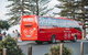 SkyBus Byron Bay Express - thumb 2