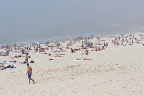 Sydney Shore Excursion: Half-Day Sydney City Highlights With Bondi Beach And Watsons Bay - Accommodation ACT 3