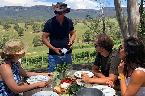 Luxury Blue Mountains Tour With Aussie BBQ Lunch And Wine Tasting - Accommodation ACT 0