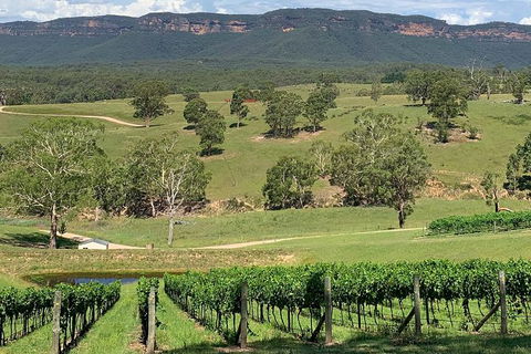Luxury Blue Mountains Tour With Aussie BBQ Lunch And Wine Tasting - Accommodation ACT 5