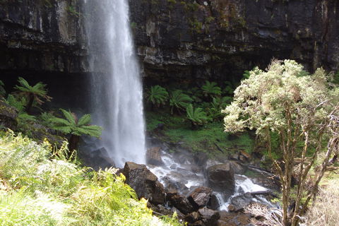 Bindaree Falls - Accommodation ACT 1