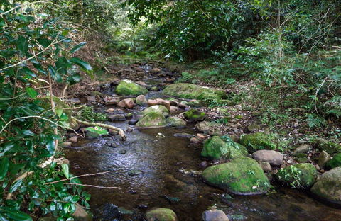 Cascades Picnic Area - Accommodation ACT 0