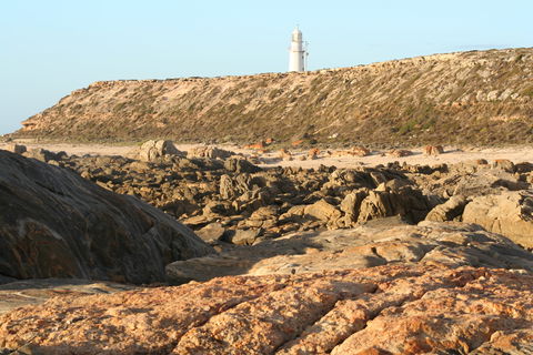 Corny Point Lighthouse - Accommodation ACT 0