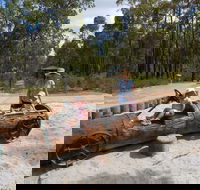 Crooked Brook Forest - Accommodation ACT