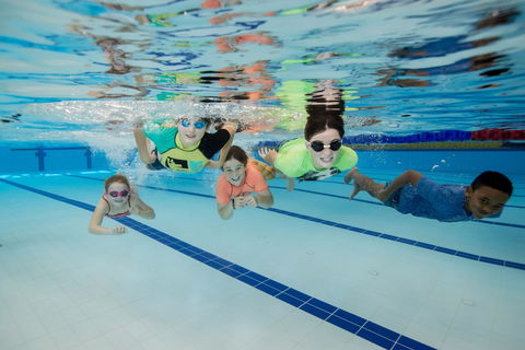 East Maitland Aquatic Centre - Accommodation ACT 1