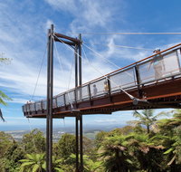 Forest Sky Pier Sealy Lookout - Accommodation ACT