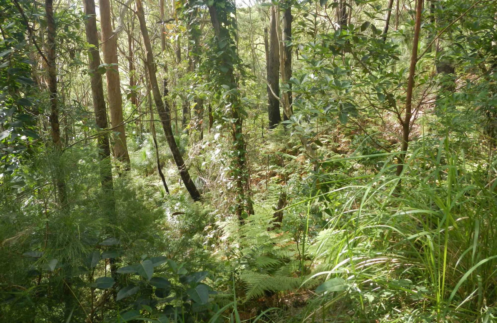 Arakoon NSW Accommodation ACT