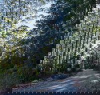 Hastings Forest Way Touring Route - Accommodation ACT