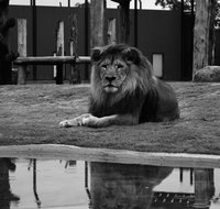 Hunter Valley Zoo