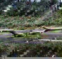 Kayaking Upper Tuross River and Bumbo Lake - Accommodation ACT