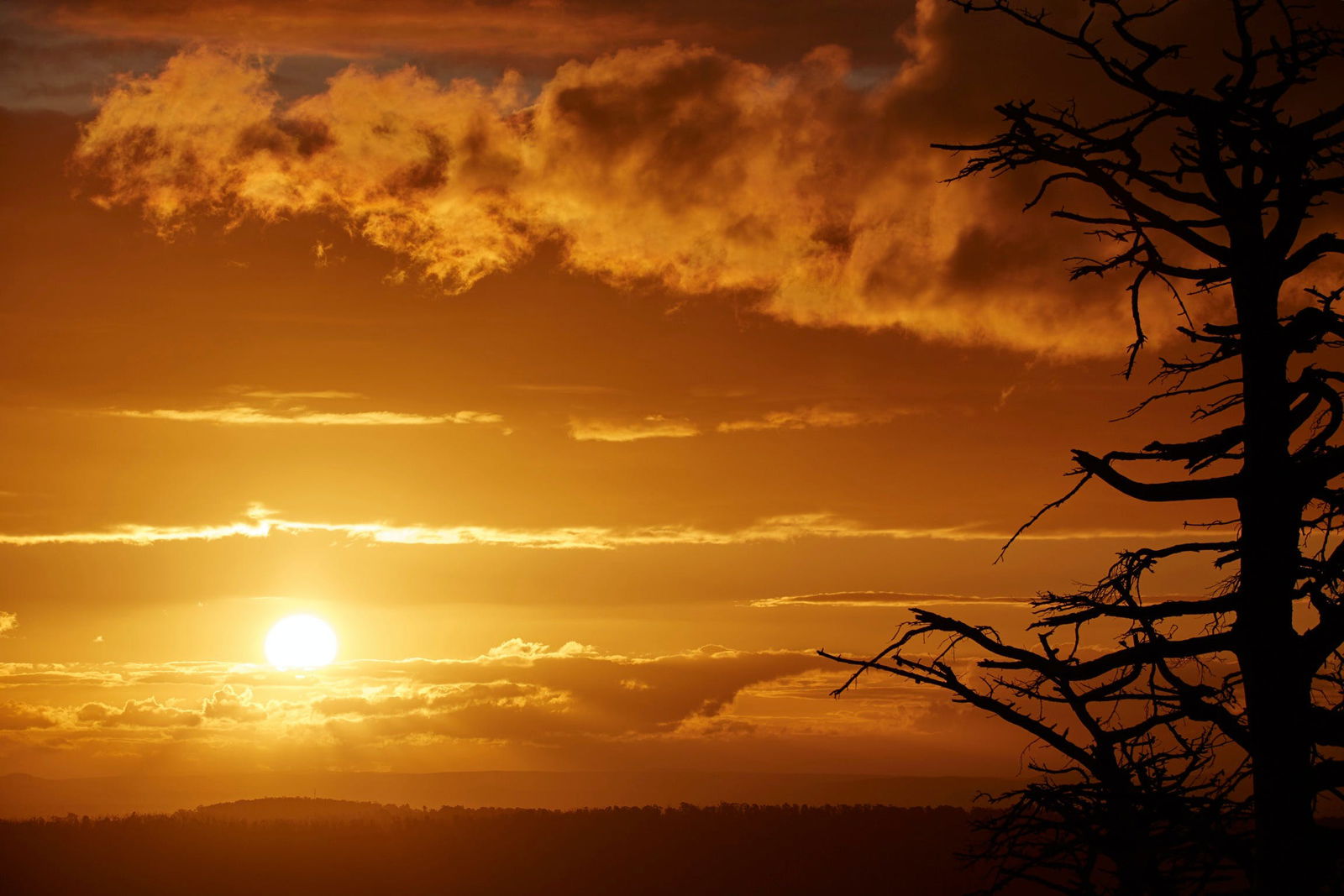 Kinglake Central VIC Accommodation ACT