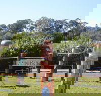 Maryboroughs Bollards - Accommodation ACT