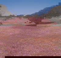 Meekatharra - Accommodation ACT