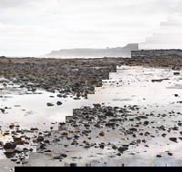 Mushroom Reef Beach - Accommodation ACT