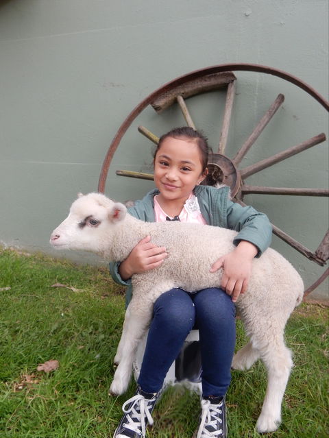 Myuna Farm - Accommodation ACT 0