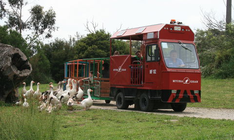 Myuna Farm - Accommodation ACT 2