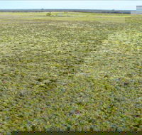 Nilla Yannagalang Billana - Accommodation ACT