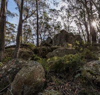 Pheasants Peak Walking Track - Accommodation ACT