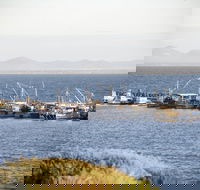 Portarlington - Accommodation ACT
