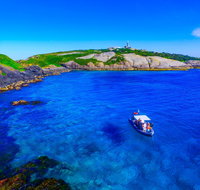 Snorkelling Montague Island - Accommodation ACT