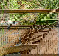 Somersby Falls walking track - Accommodation ACT