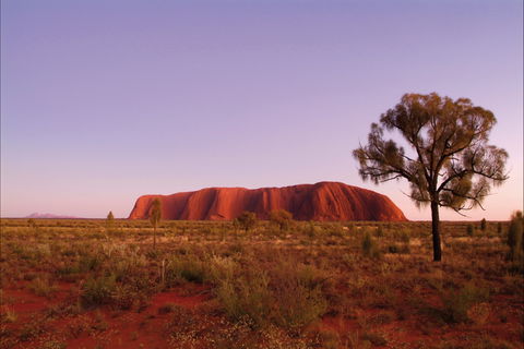 Sunrise Viewing Area Talinguru Nyakunytjaku - Accommodation ACT 0