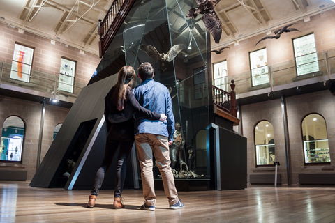 Tasmanian Museum And Art Gallery - Accommodation ACT 1