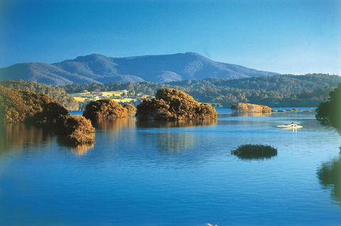 Wagonga Picnic Area - Accommodation ACT 0
