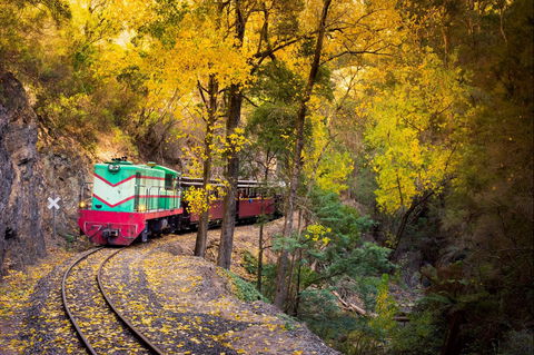Walhalla Goldfields Railway - Accommodation ACT 2