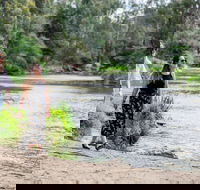 Warrandyte River Reserve - Accommodation ACT