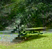 Williams River picnic area - Accommodation ACT