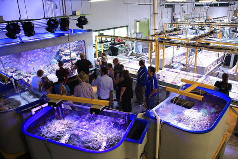 Australian Institute Of Marine Science - Accommodation ACT 0
