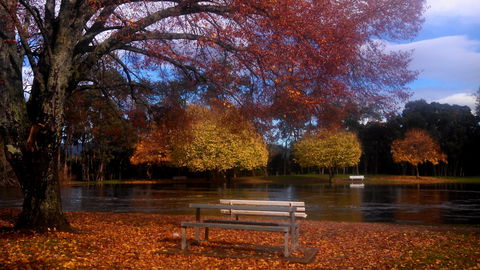 Bells Parade Reserve - Accommodation ACT 0