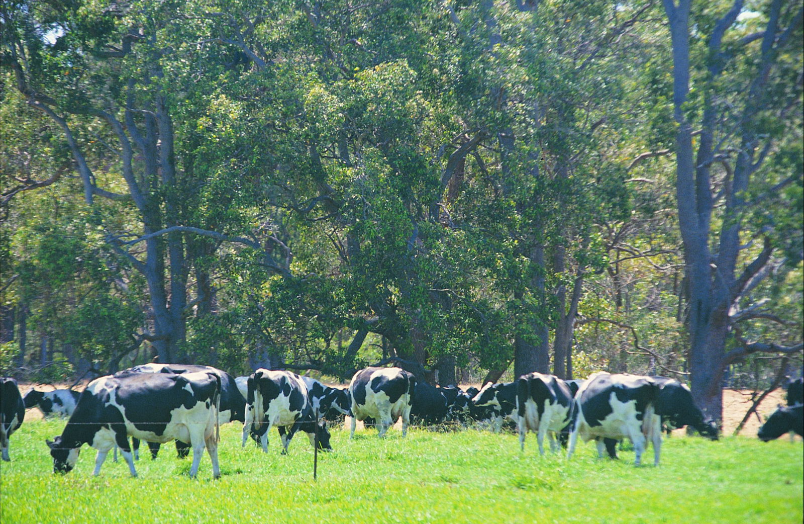 Stratham WA Accommodation ACT