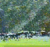 Boyanup - Accommodation ACT