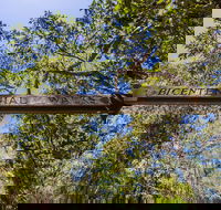 Bribie Island Bicentennial Trails - Accommodation ACT