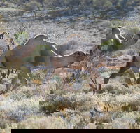 Canning Stock Route - Accommodation ACT