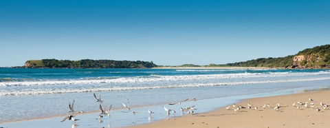 Chinamans Beach Evans Head - Accommodation ACT 2