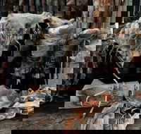 Geckostrands Textile Artist - Accommodation ACT