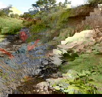 Gold Panning Deep Creek - Accommodation ACT