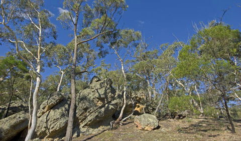 Green Track - Accommodation ACT 0