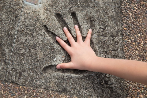 Hands Of Fame Park - Accommodation ACT 0
