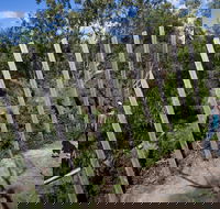 Herring Island Environmental Sculpture Park - Accommodation ACT