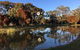 Jubilee Park - thumb 0