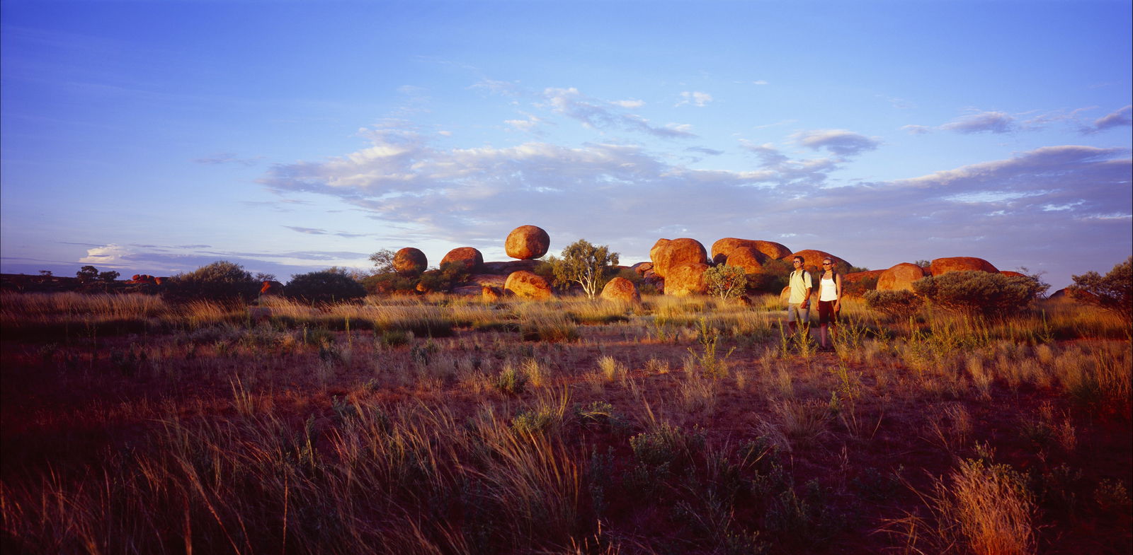 Accommodation ACT