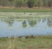 Leaning Tree Lagoon Nature Park - Accommodation ACT