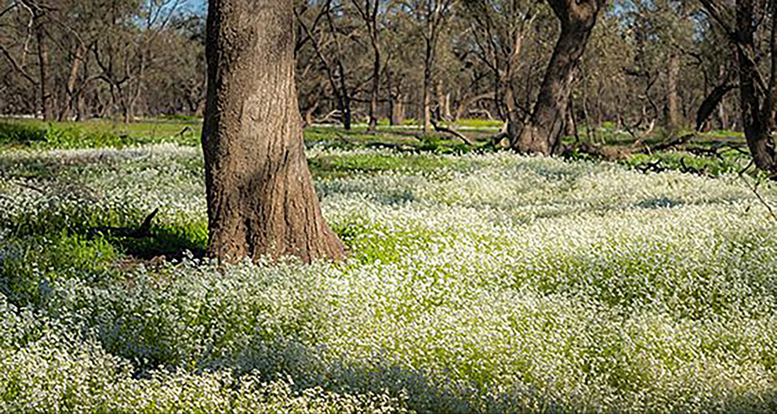 Lake Meran VIC Accommodation ACT